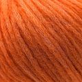 093 Sandstorm Orange