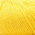 008 Happy Yellow