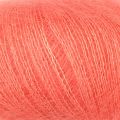 517 Coral