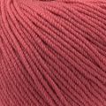 3323 Raspberry