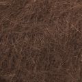 10202 Chocolate