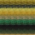484 Rumoi