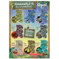 Opal Rainforest 19 4 Ply