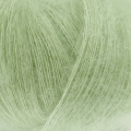 068 Aloe