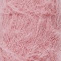 003 Coral