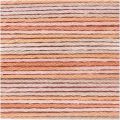 Print 003 Salmon Mix
