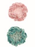Small Lettuce Leaf Corals