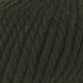 043 Forest