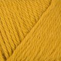 545 Yellow