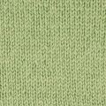 1127 Eucalyptus