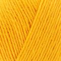 1001 Sunflower