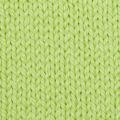 0255 Lime Sorbet