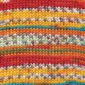 Regia 6-Fadig Color - 6 Ply Sock Colored
