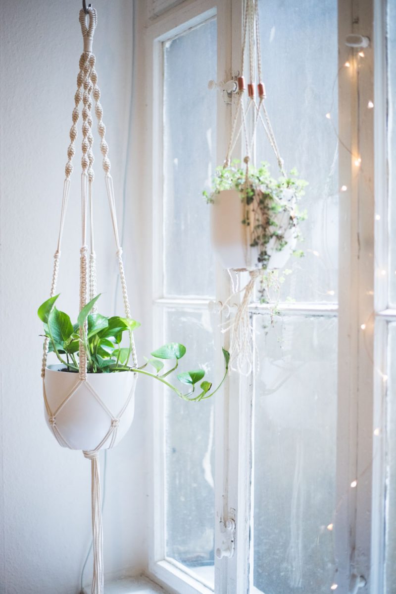 Macrame for beginners: plant hanger tutorial